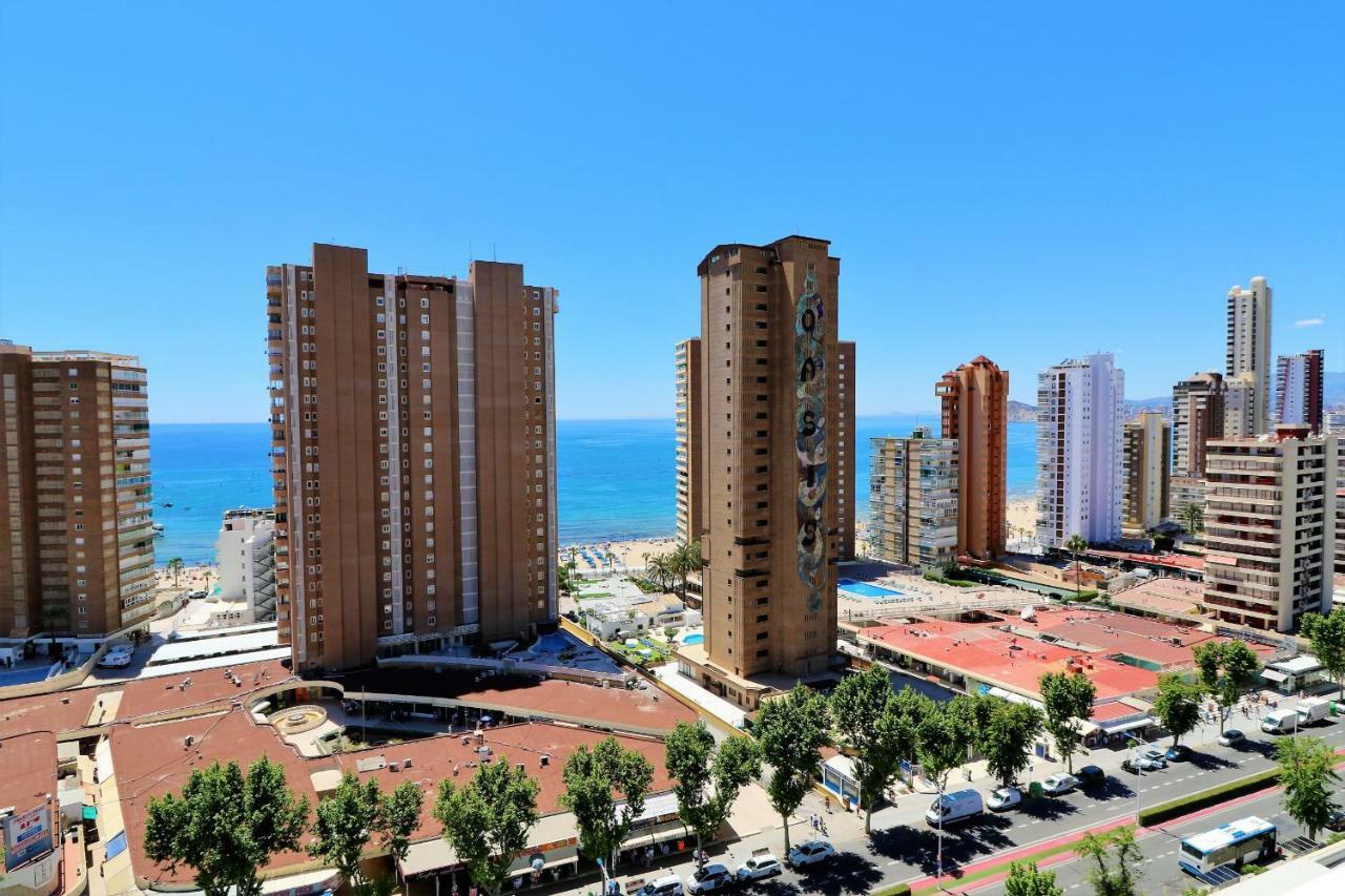 Albatros 17-5 Appartamento